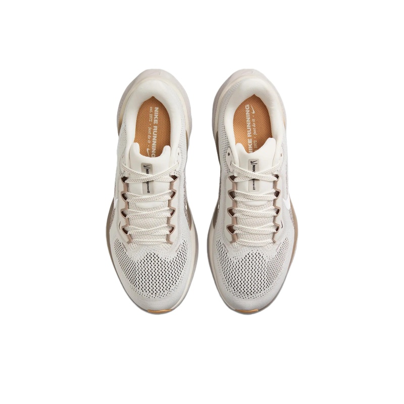 Nike Pegasus 41 Gore-Tex 'Brown' Женские