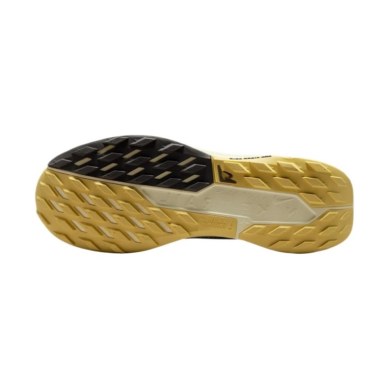 Nike Pegasus Trail 5 GTX 'Alabaster Saturn Gold Lightning Medium Ash' Мужские