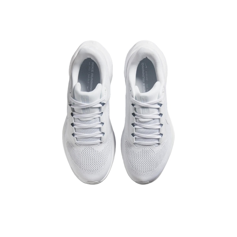 Nike Pegasus 41 Gore-Tex 'White Light Grey Black' Женские