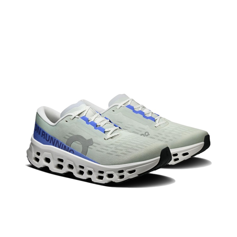 On Cloudmonster 3 '3MG10054726' Мужские