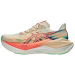 Seashell Sun Coral