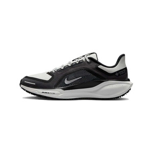 Nike Pegasus 41 Gore-Tex ‘White Pure Platinum Black’ Женские