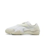 White Vapor Gray