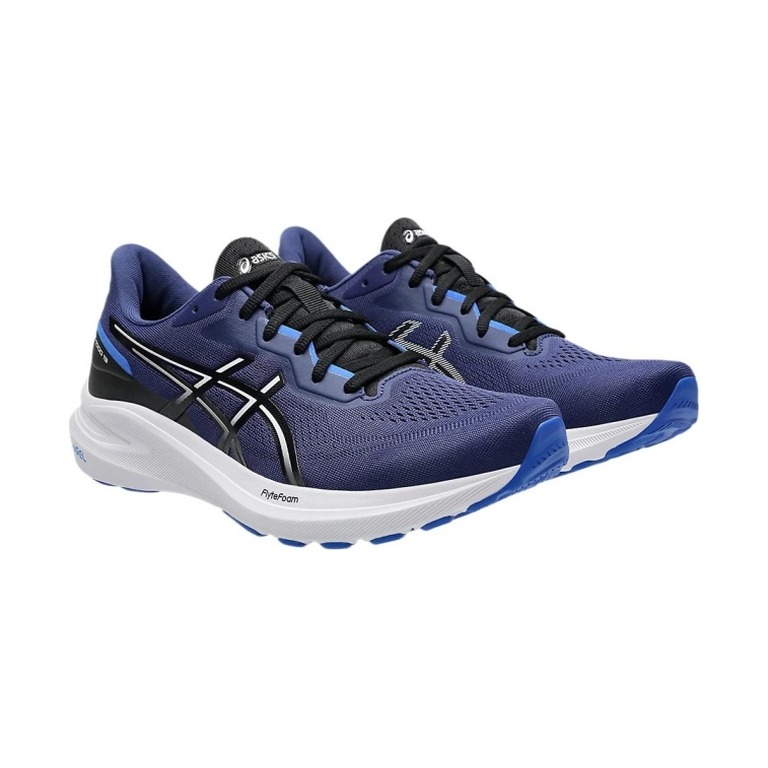 Asics GT-1000 13 'Blue White' Мужские