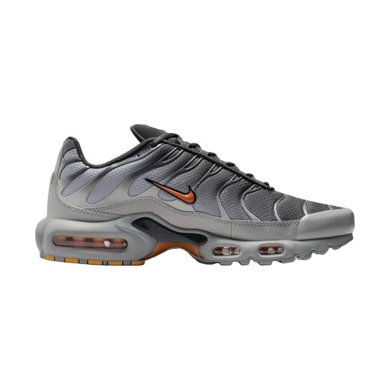 Nike Air Max Plus 'White Pure Platinum White' Мужские