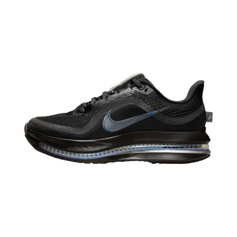 Nike Pegasus Premium 'Black Metallic Silver Black' Женские