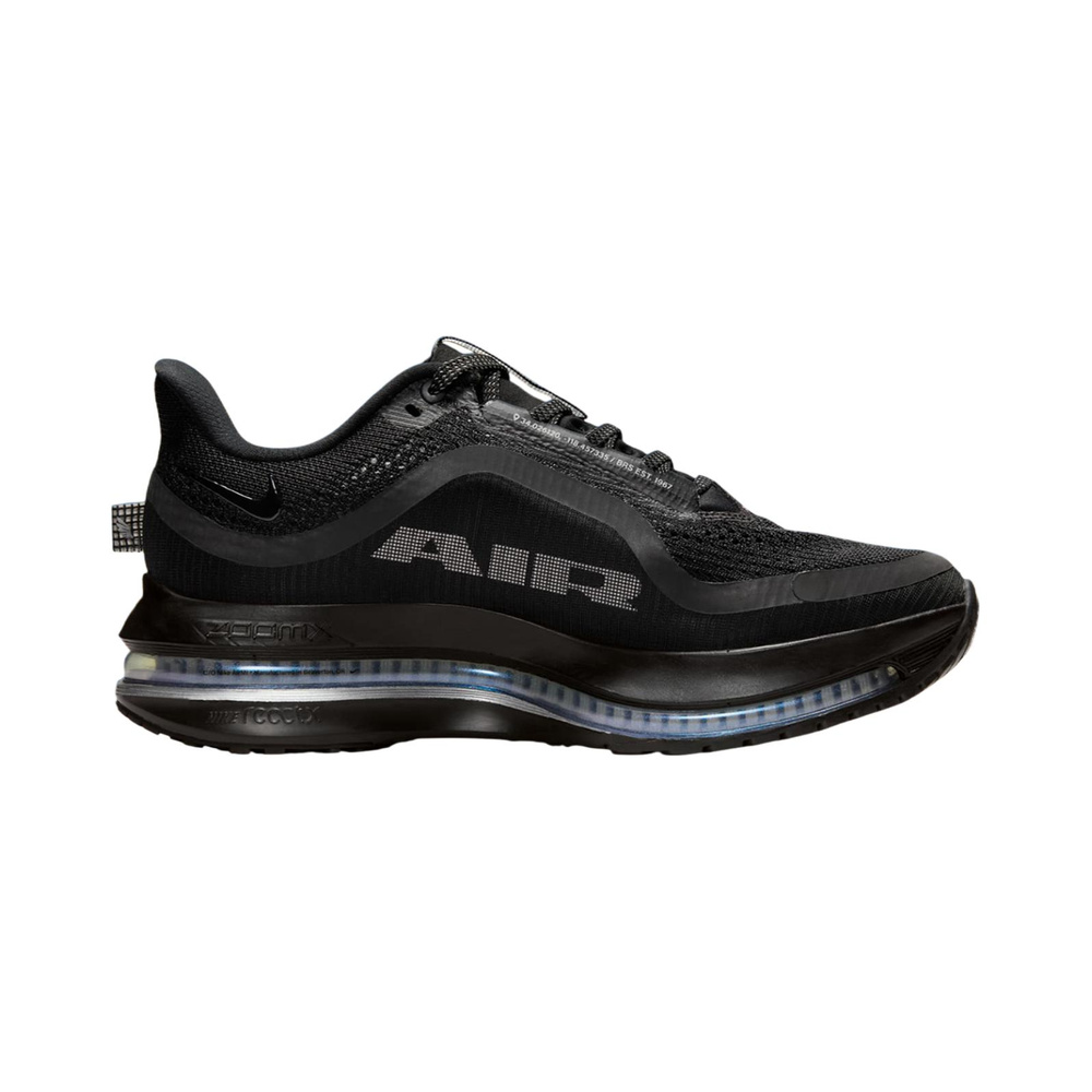 Nike Pegasus Premium 'Black Metallic Silver Black' Женские