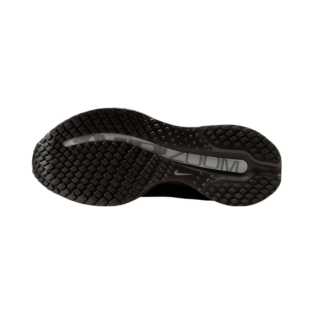 Nike Pegasus Premium 'Black Metallic Silver Black' Женские