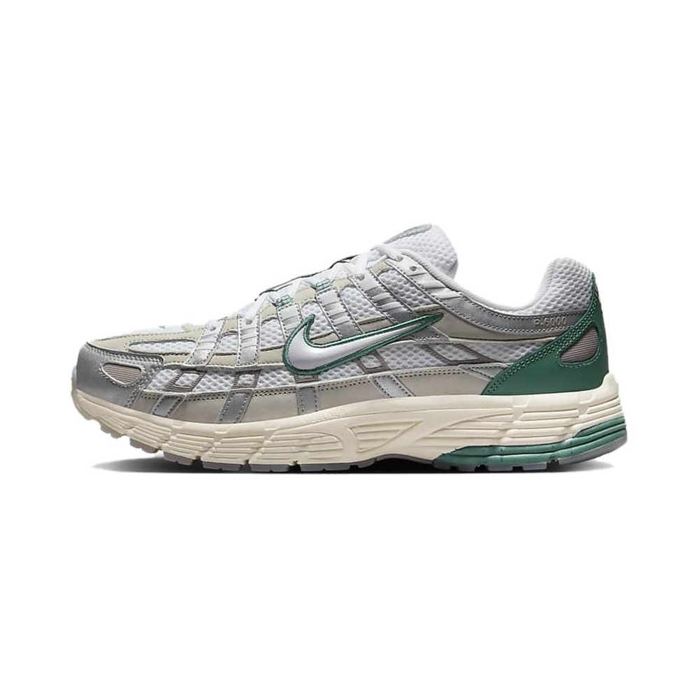 Nike P 6000 'Multi-Color' Мужские