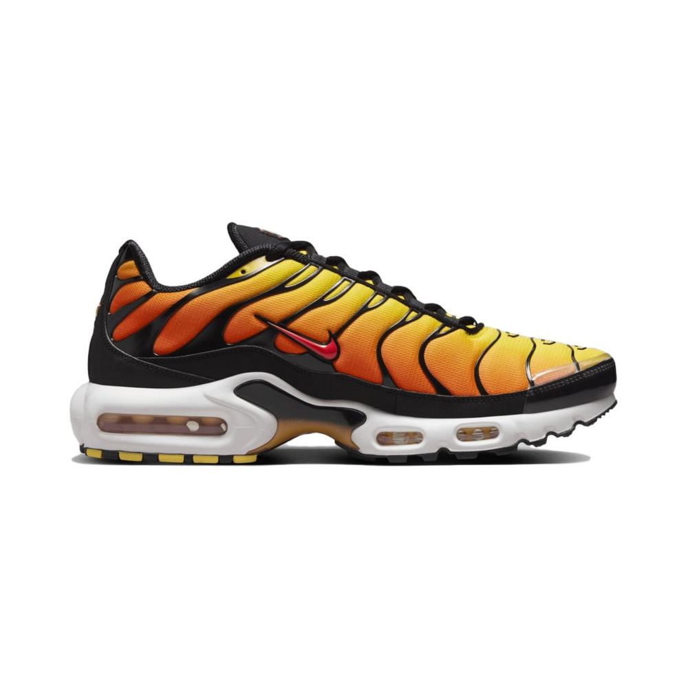 Nike Air Max Plus 'Multi-Color' Мужские
