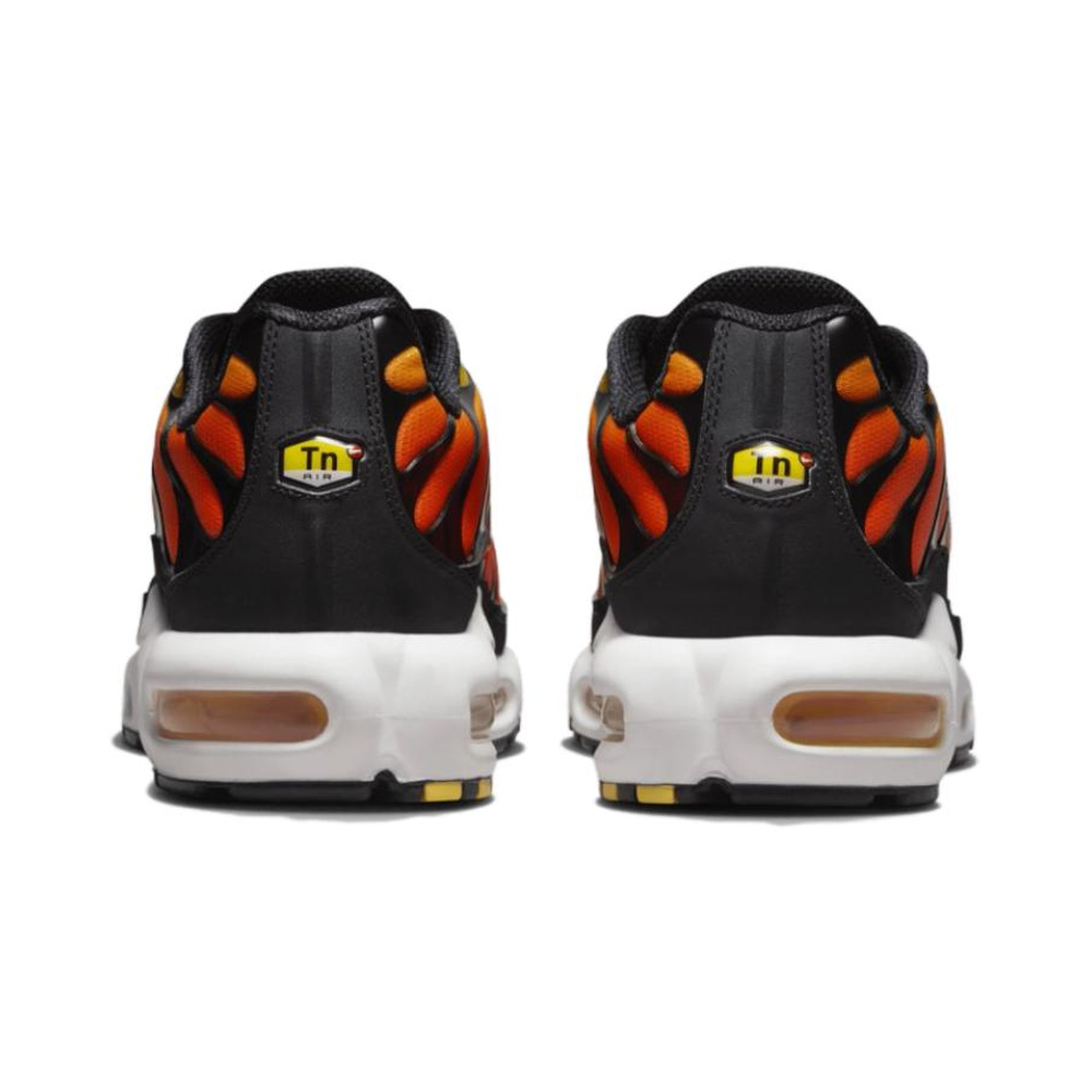 Nike Air Max Plus 'Multi-Color' Мужские