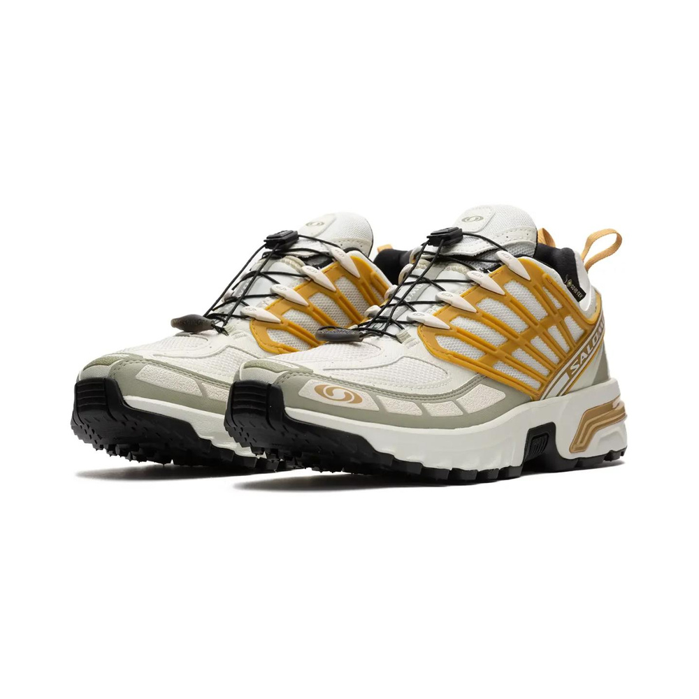 Salomon ACS Pro Advanced 'Gore Tex Cicle Antelope' Мужские