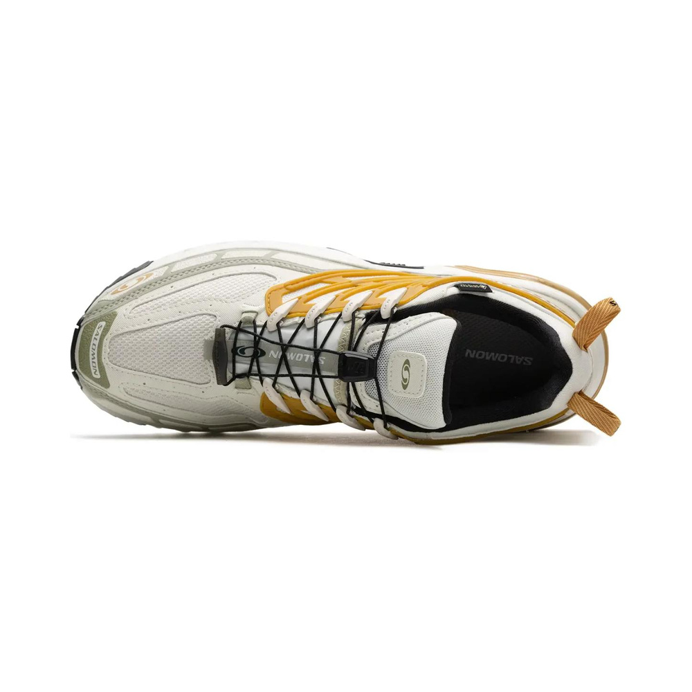 Salomon ACS Pro Advanced 'Gore Tex Cicle Antelope' Мужские