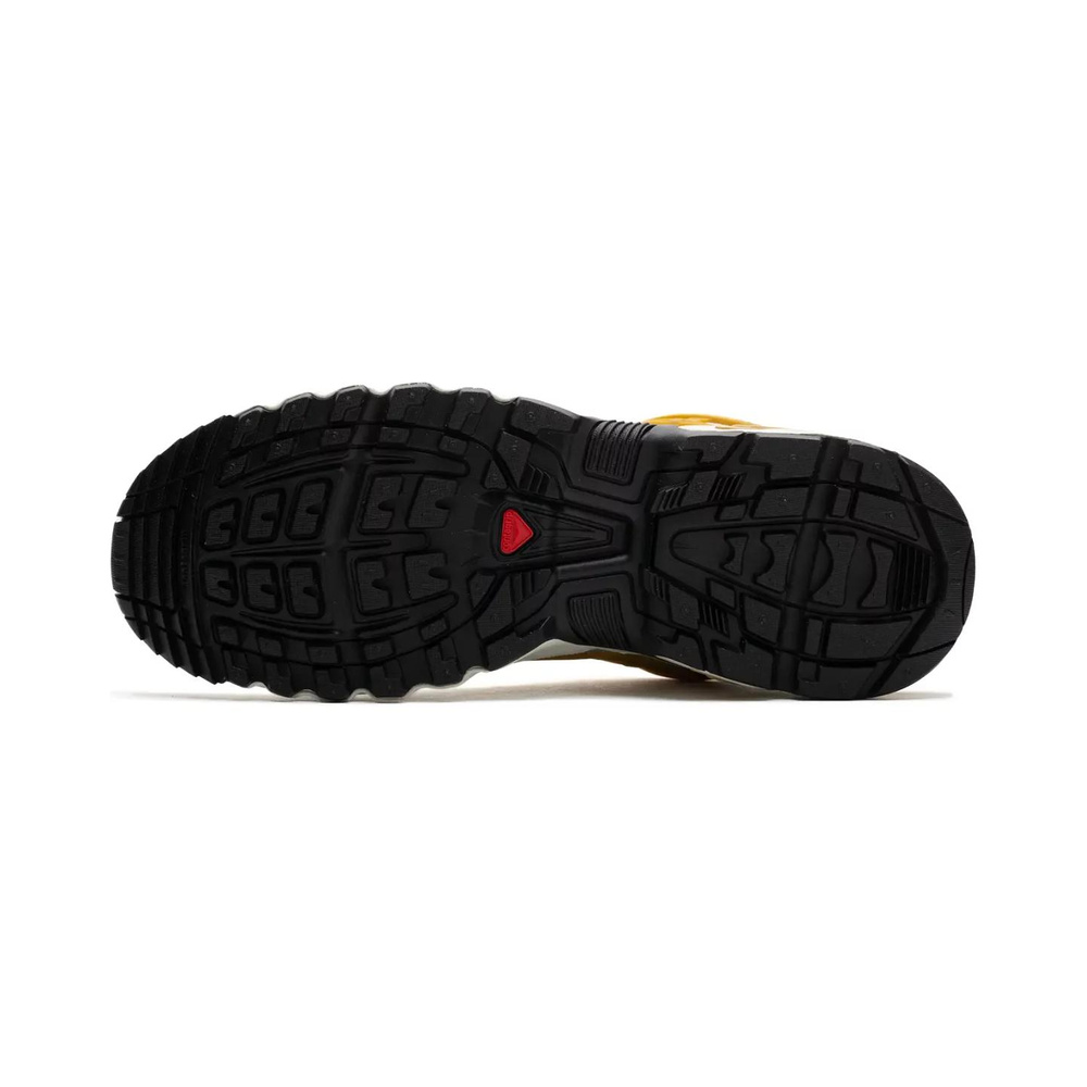 Salomon ACS Pro Advanced 'Gore Tex Cicle Antelope' Мужские