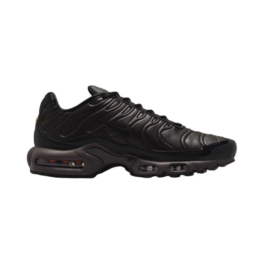Nike Air Max Plus 'Multi-Color' Мужские