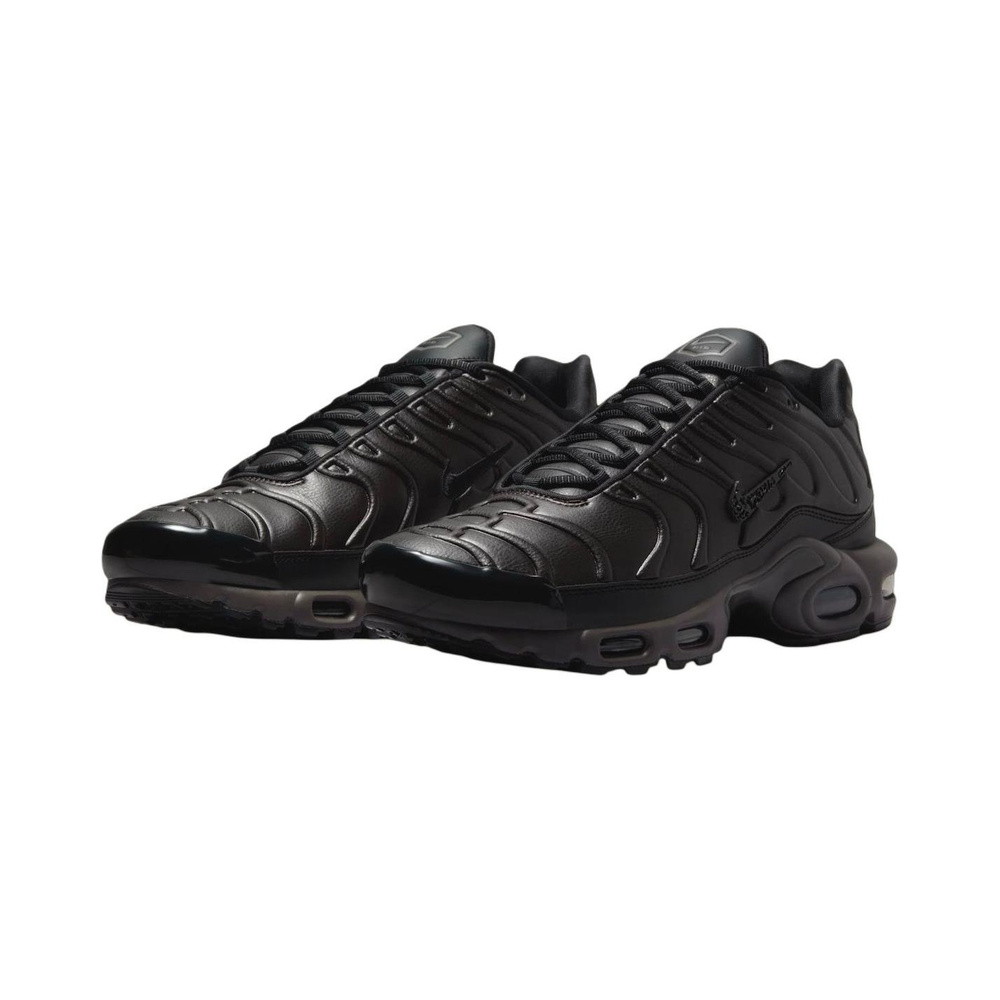 Nike Air Max Plus 'Multi-Color' Мужские