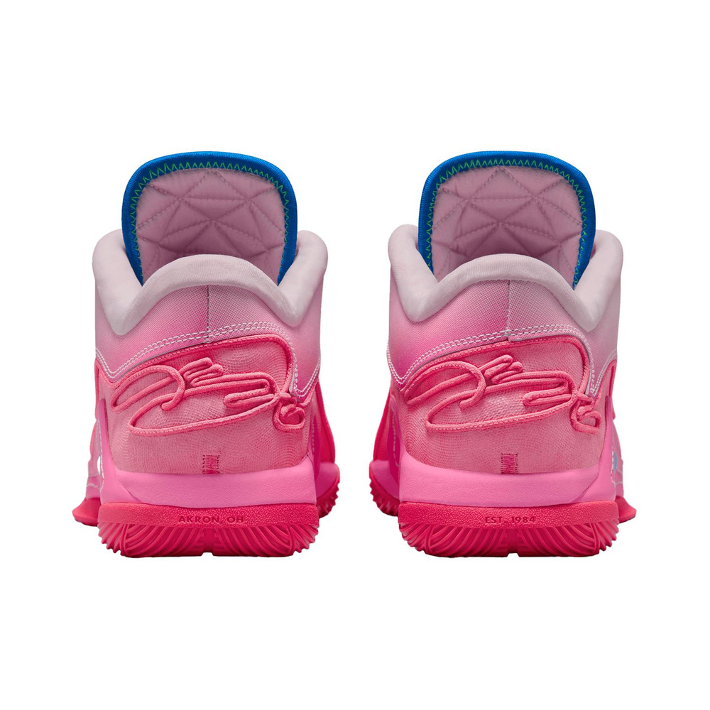 Nike Lebron 22 'Team Crimson / Summit White / Gum Light Brown / Peony' Мужские