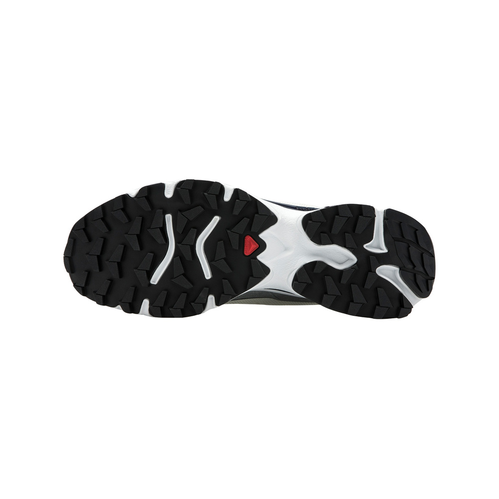 Salomon XT-Slate Advanced 'Xt Slate Vanilla Ice Silver' Мужские