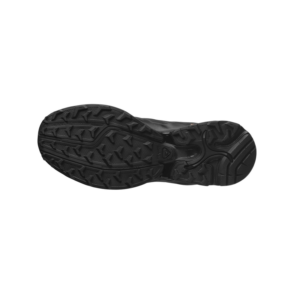 Salomon XT-Pathway 2 'Xt Pathway Satin Black Mahogany Rose' Мужские