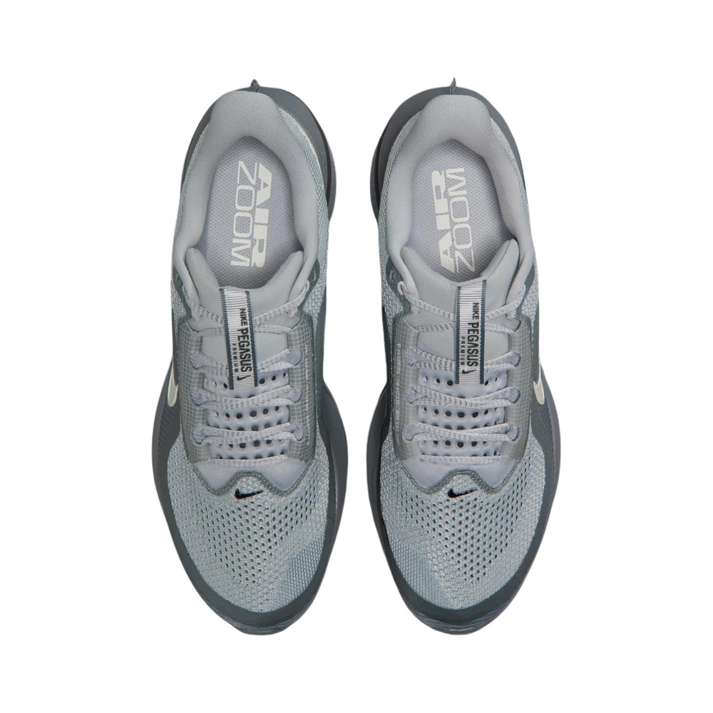 Nike Pegasus Premium 'Wolf Grey Cool Grey Anthracite Sail' Мужские