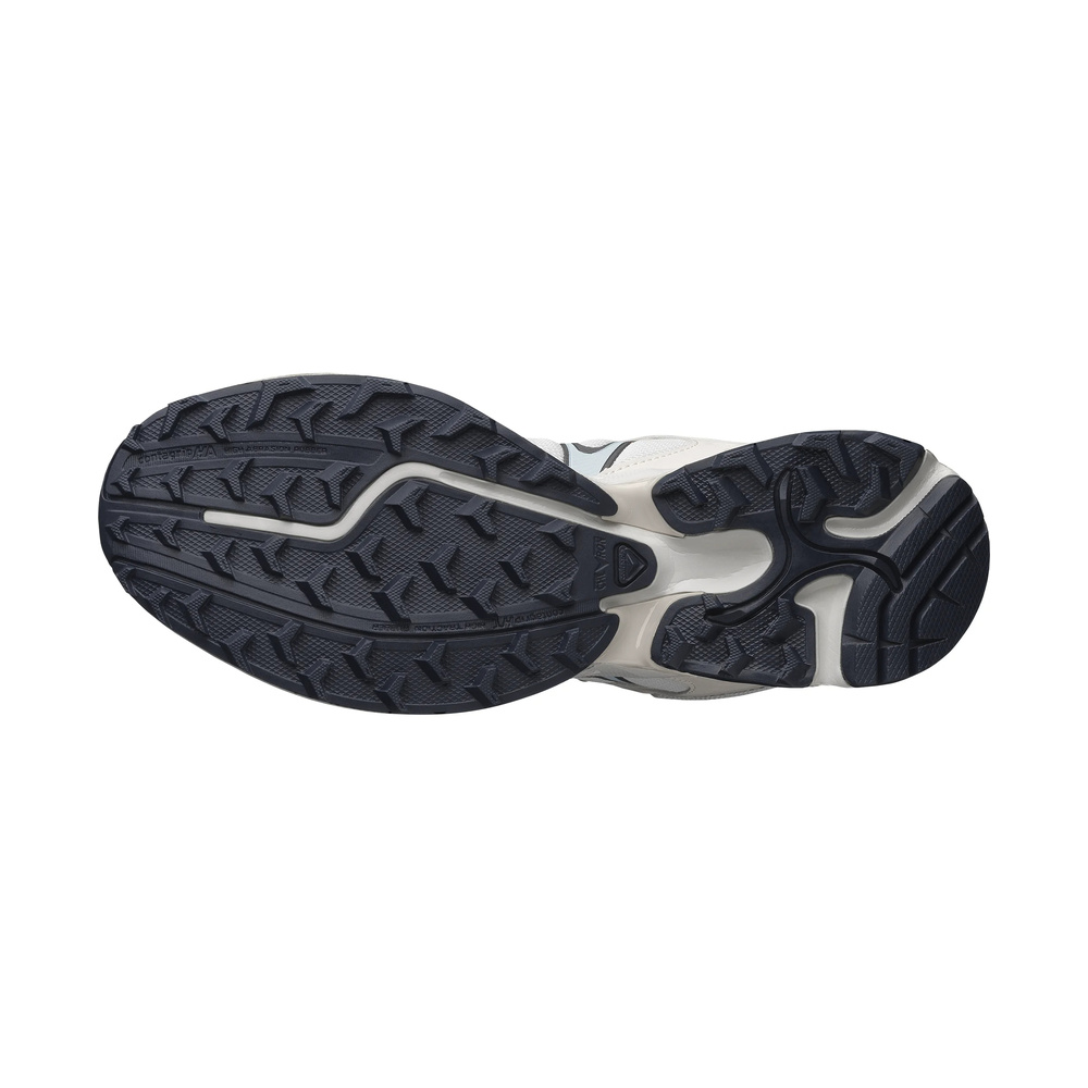 Salomon XT-Whisper Moon Pack 'Moon Stone / Cloud' Мужские