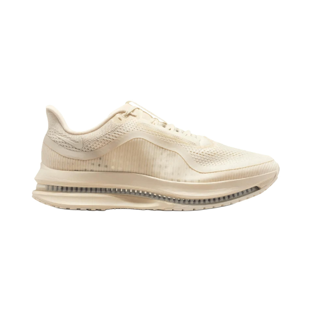 Nike Pegasus Premium 'Natural / Black / Mushroom' Мужские