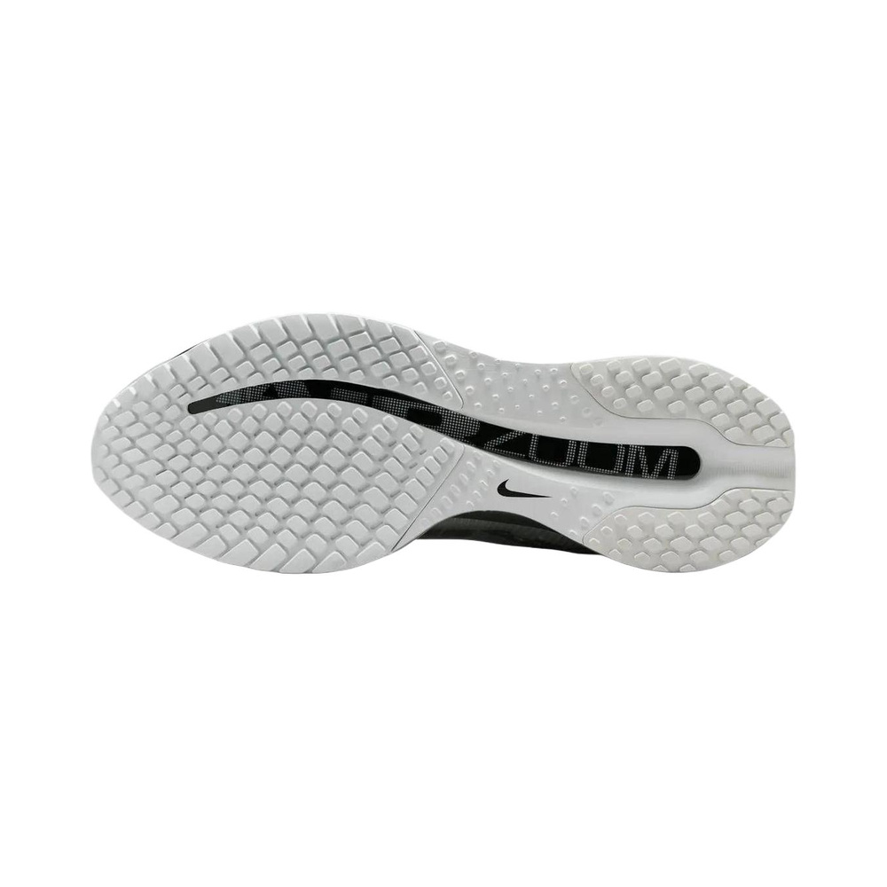 Nike Pegasus Premium 'Black Metallic Silver' Мужские