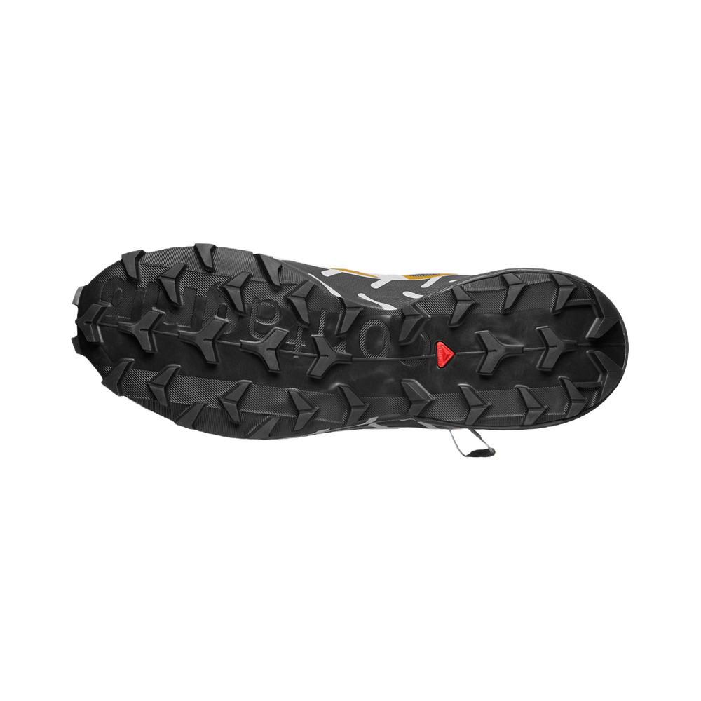 Salomon Speedcross 6 '20 Years Castlerock / Asphalt / Arrowwood' Мужские