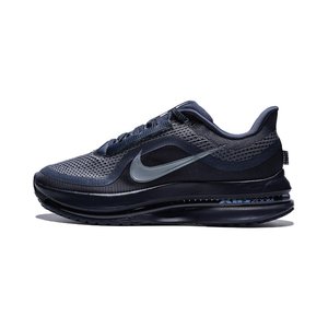 Nike Pegasus Premium ‘Black’ Мужские