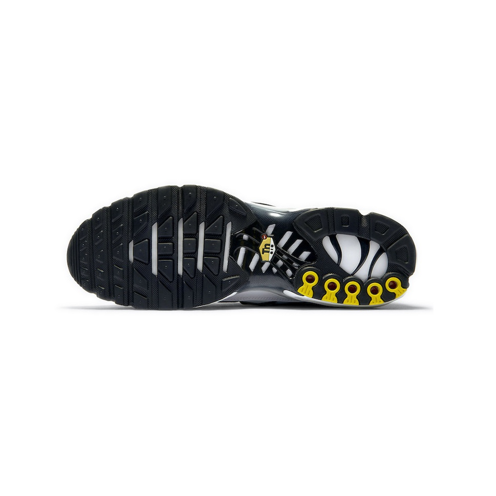Nike Air Max Plus 'White / Pure Platinum / Black' Мужские
