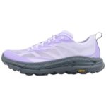 Lite Starlight Glow Aster Flower