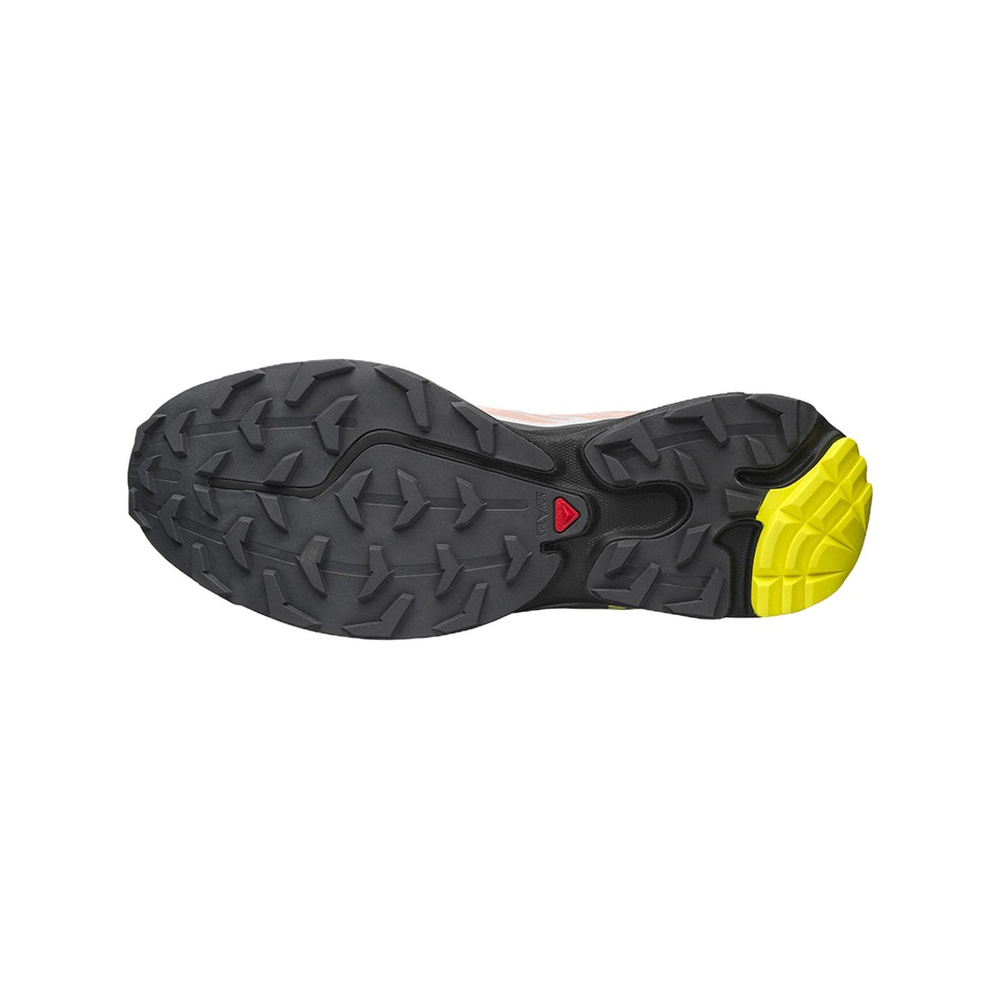 Salomon XT 6 'Blooming Dahlia / Monument / Black' Мужские