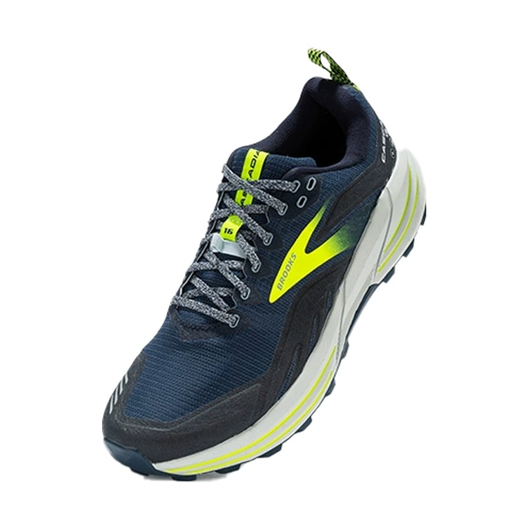 Brooks Cascadia 16 'Multicolor' Мужские
