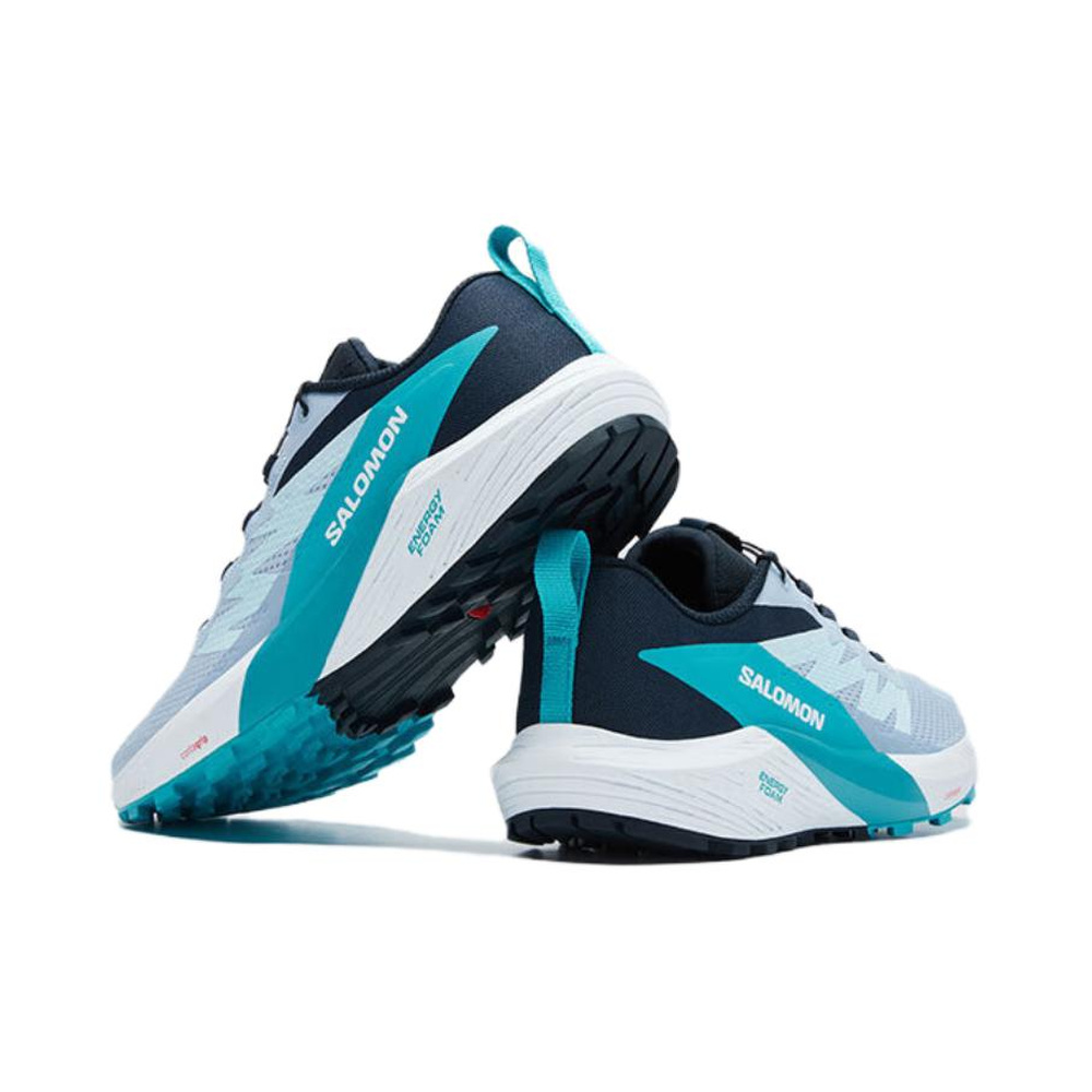 Salomon Sense Ride 5 'Cashmere Blue' Женские