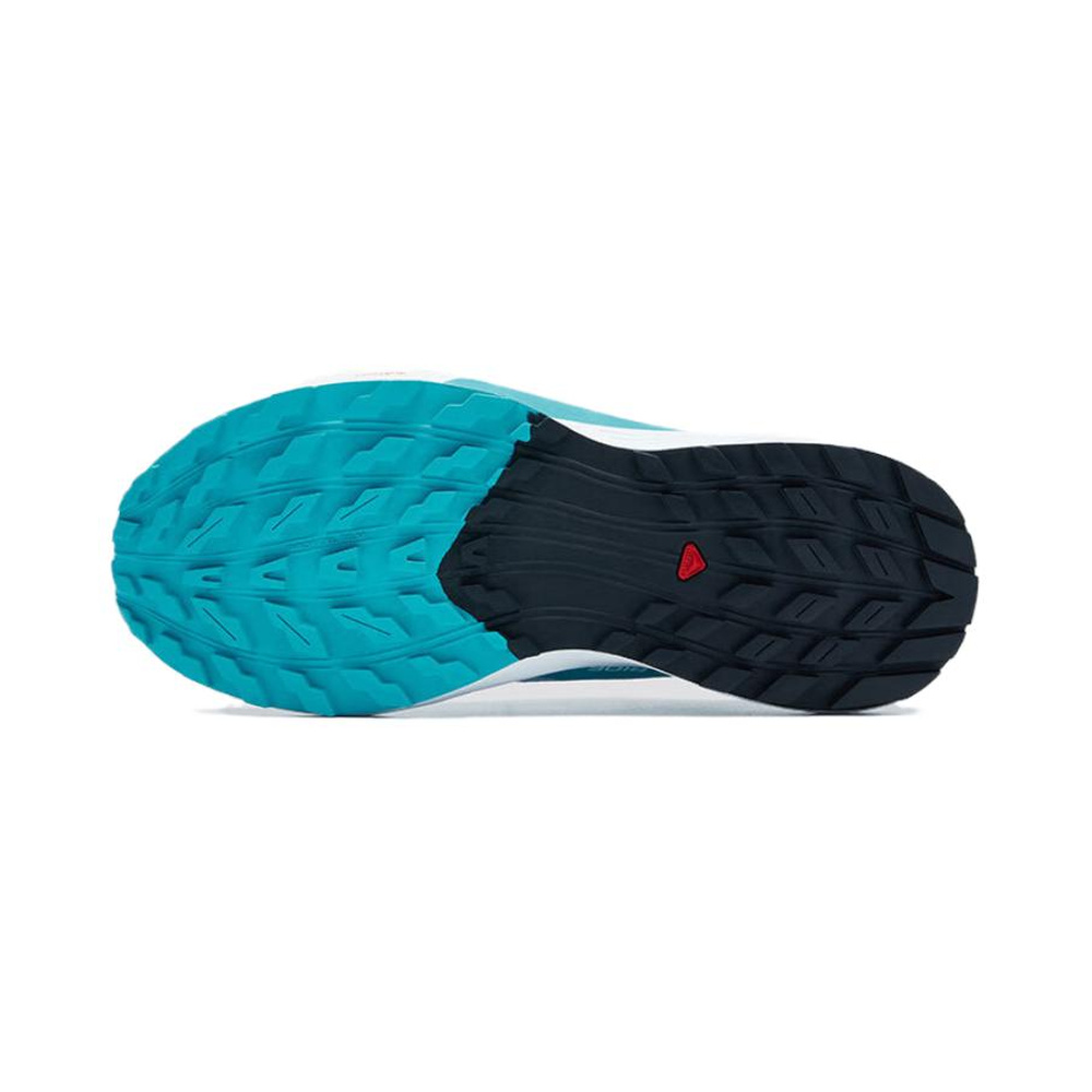 Salomon Sense Ride 5 'Cashmere Blue' Женские