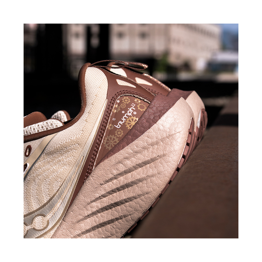 Saucony Triumph 22 'Umber' Мужские