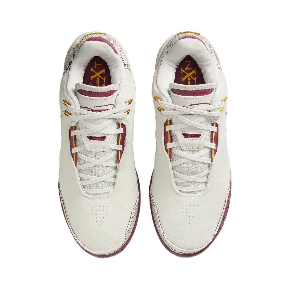 Nike Lebron Nxxt Gen 'Pink Smoke / Mystic Dates / Light Magenta / Metallic Silver' Мужские