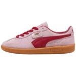 Rose Mauve Dark Crimson
