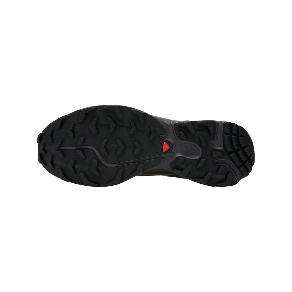 Salomon XT 6 'Taupe' Мужские