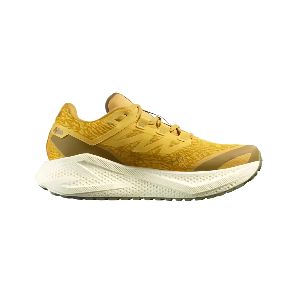 Salomon Aero Glide 'Grvl Spicy Mustard' Мужские