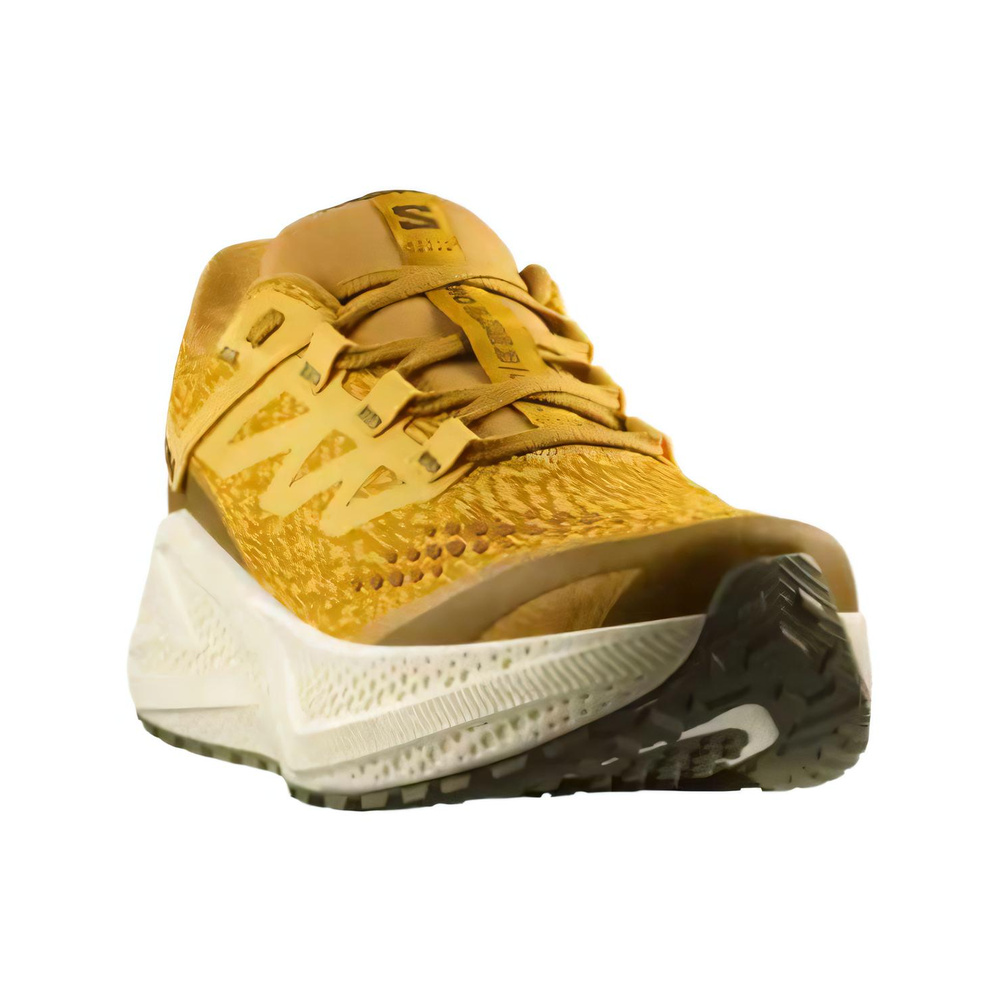 Salomon Aero Glide 'Grvl Spicy Mustard' Мужские