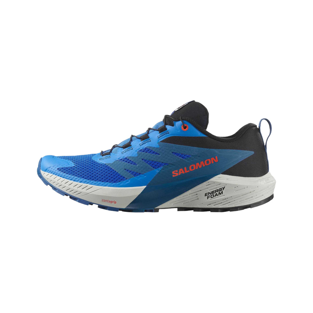Salomon Sense Ride 5 'French Blue / Black / Dark Blue' Мужские