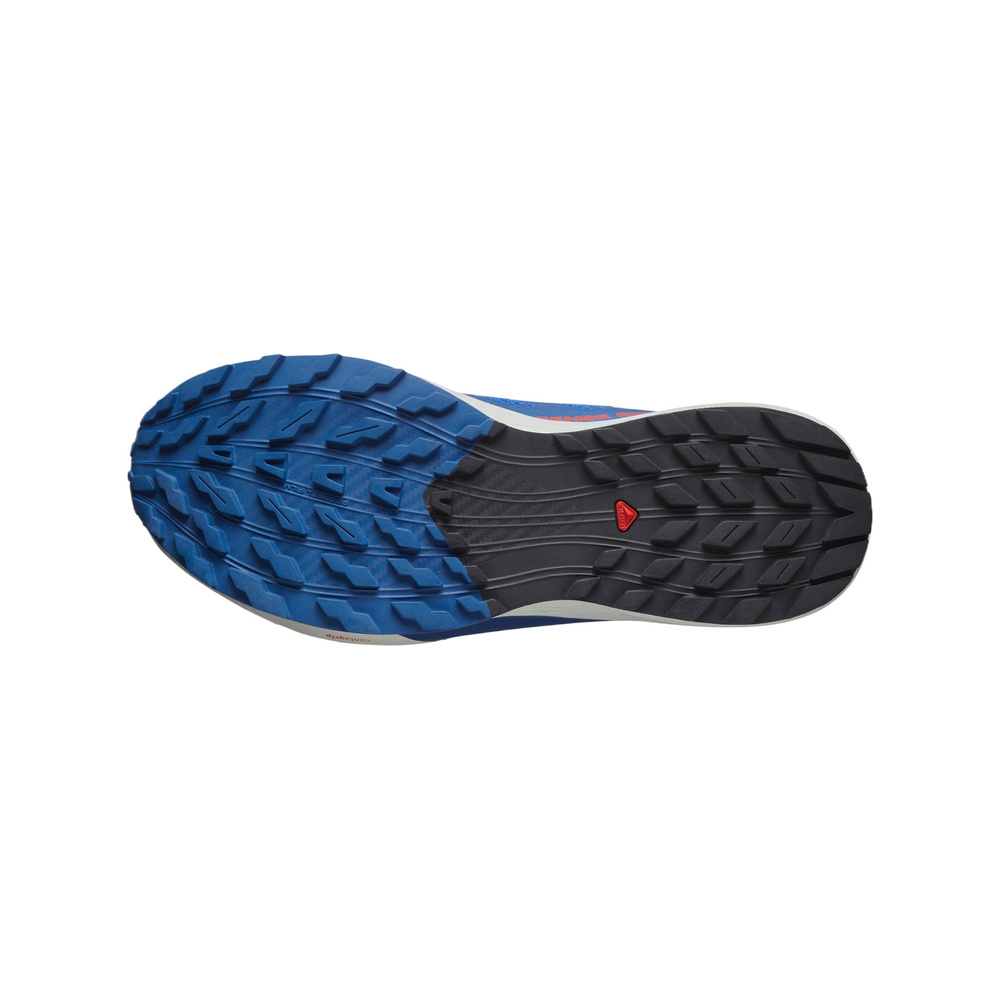 Salomon Sense Ride 5 'Blue / Black / Dark Navy' Мужские