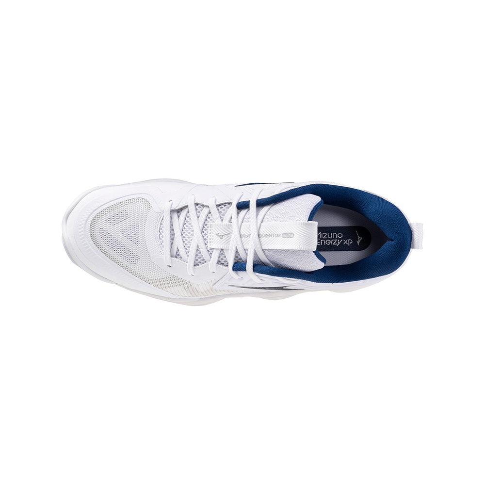 Mizuno Wave Momentum Elite 'Navy Blue 55' Мужские