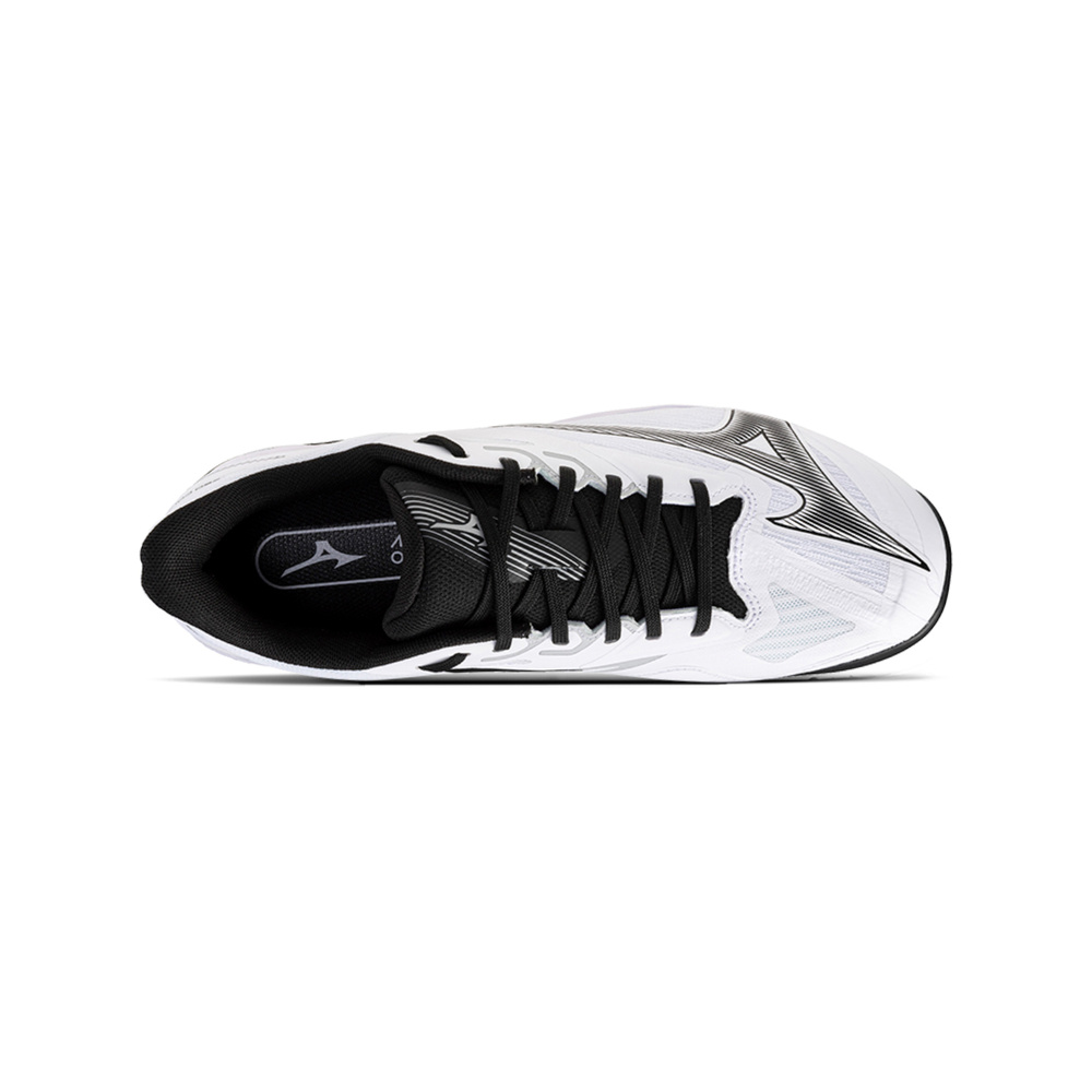 Mizuno Wave Exceed Court 'White / Black 61Ga251809' Мужские
