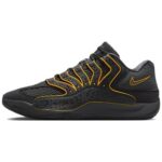 Black / Anthracite / Fir / University Gold