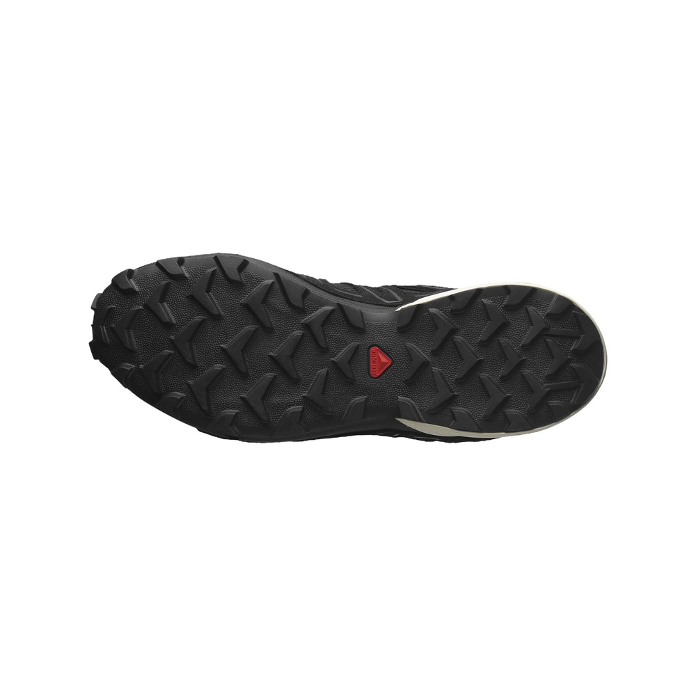Salomon Speedcross 3 'Expanse Asphalt' Мужские