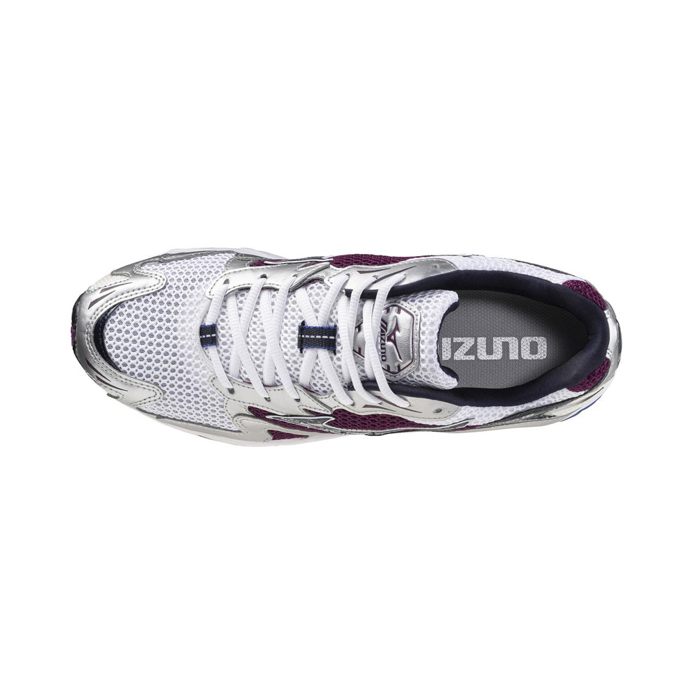 Mizuno Wave Rider 10 'Multicolor' Мужские