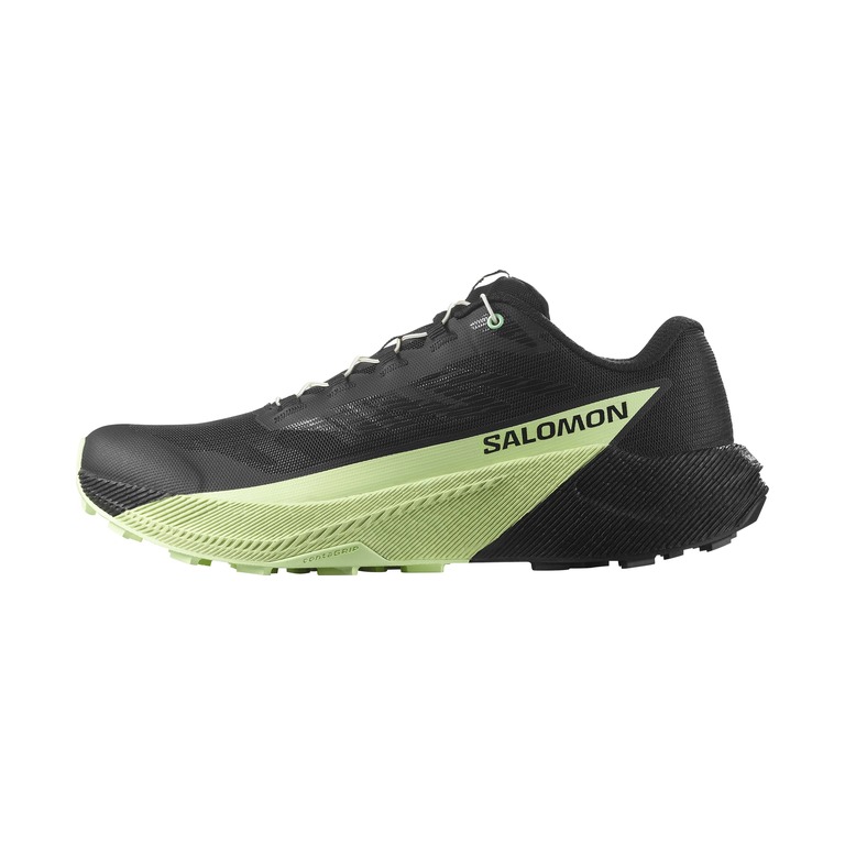 Salomon Pulsar 'Black Patina Green' Мужские