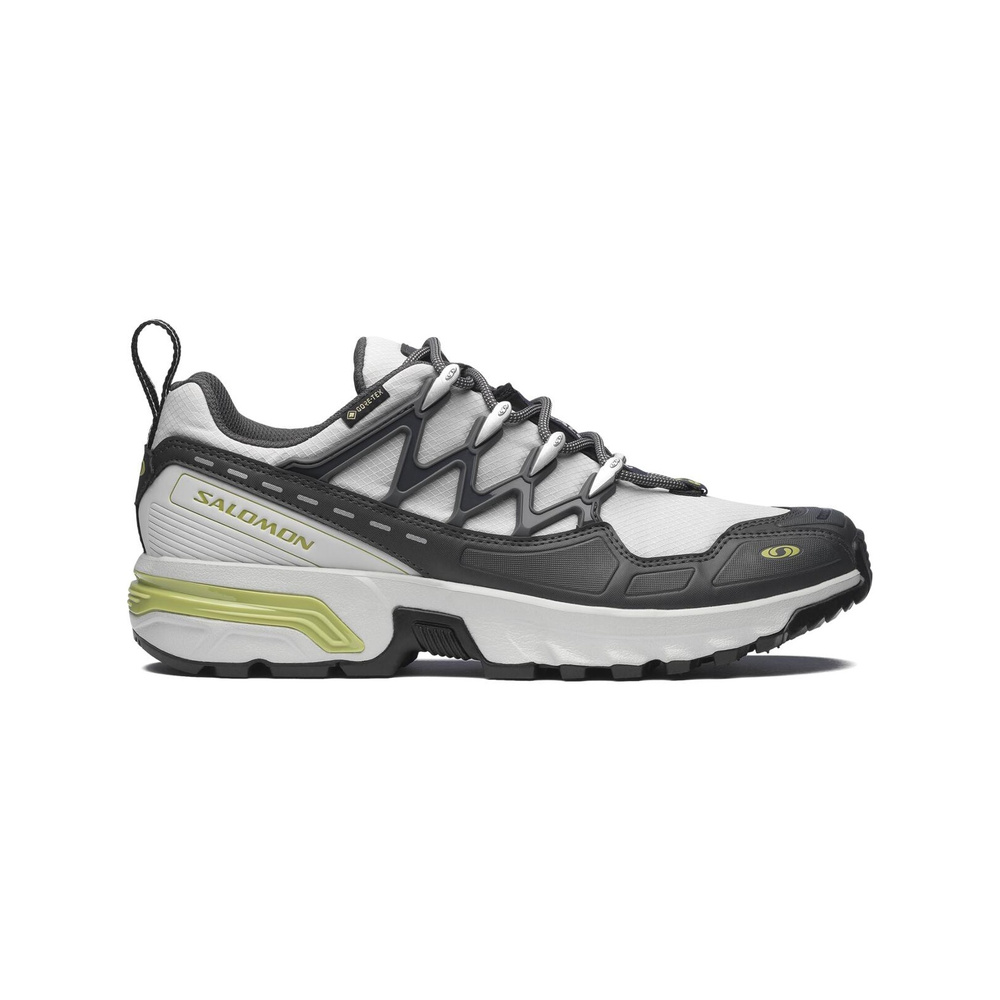 Salomon Acs+ 'Grey' Мужские